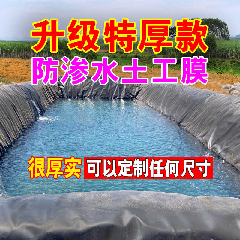 加厚防漏养殖专用蓄水池塘土工膜图片