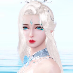 淘淘原创捏脸 新天龙八部手游捏脸 女 全职业通用 限售数据 蓝凌