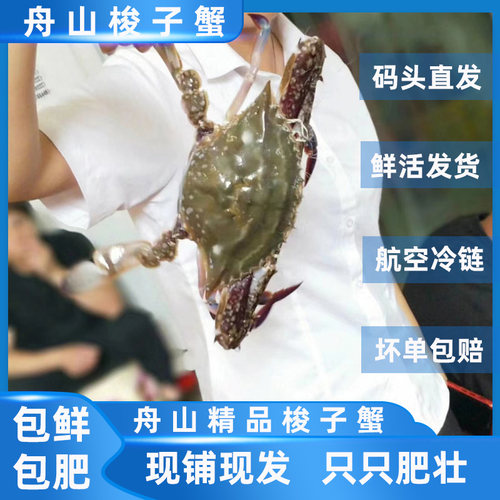 舟山梭子蟹大白蟹活蟹