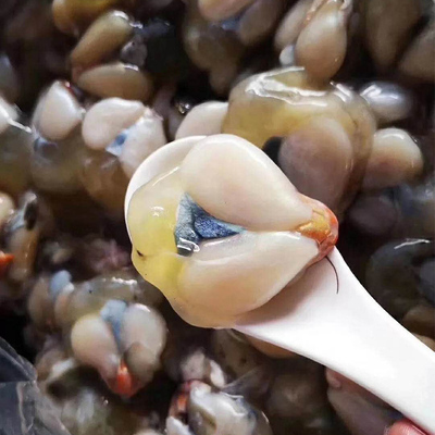 舟山特产东海优质深海400g墨鱼蛋