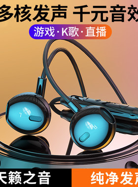 耳机有线入耳适用接口typec
