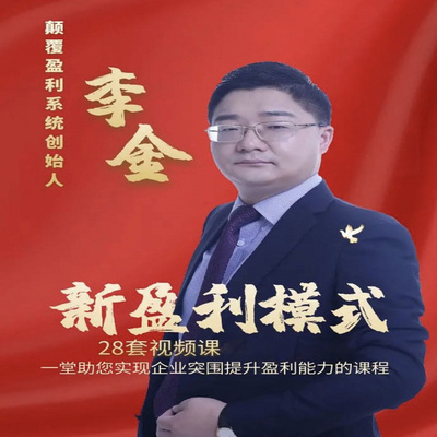 李金新盈利模式业绩增长大课视频企业融资招商商业模式思维课程