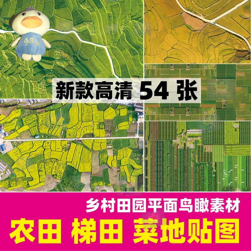 美丽乡村农业农场菜园规划彩平图ps菜地蔬菜平面贴图psd分层素材