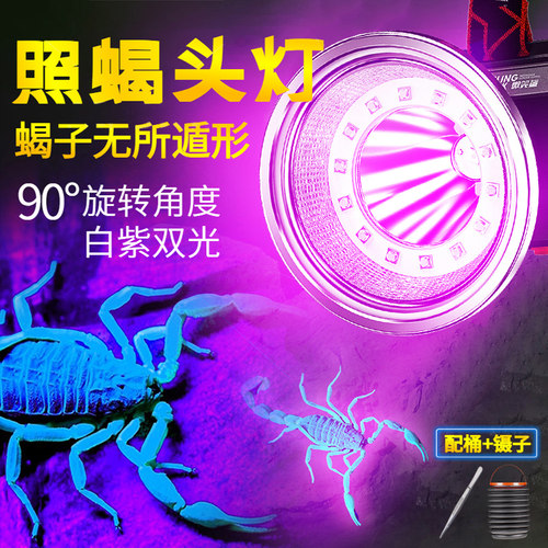 专业照蝎专用头灯大功率型长续航