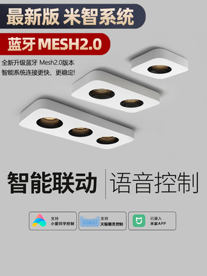 智能超薄表面安装单头双头三头无主灯简易客厅灯卧室天花板防眩射