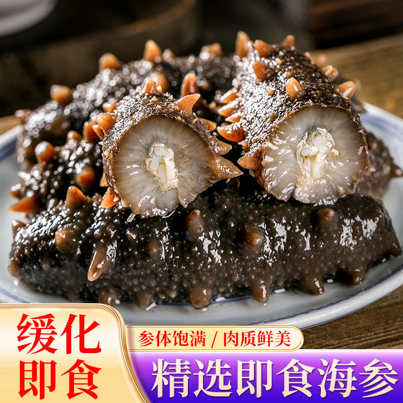 6-8头/斤 2斤 即食海参 正宗辽刺参冷冻营养健康口感Q弹