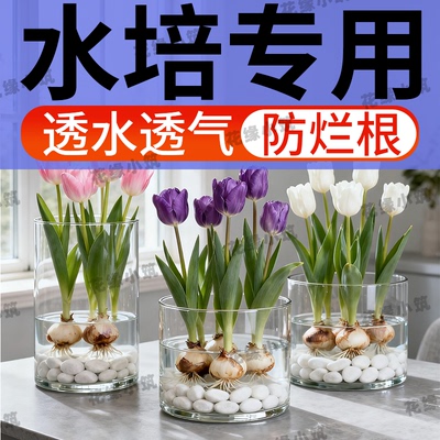 水培植物专用小石头造景装饰