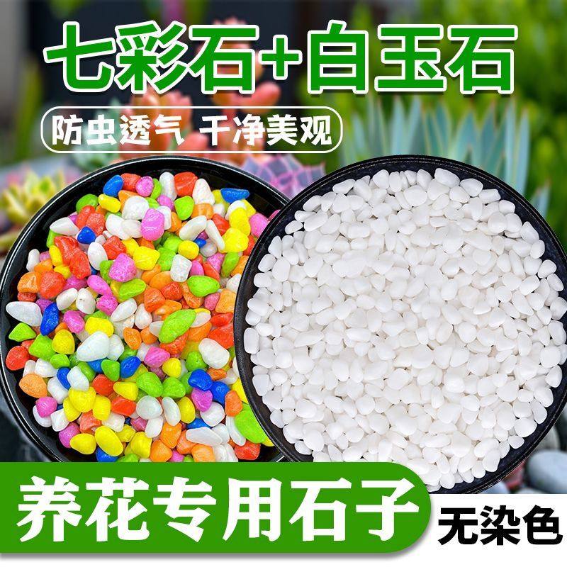 天然雨花石水培铺底多肉植物铺面石头白石七彩石造景养花盆栽庭院