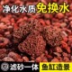 火山石鱼缸造景底砂养鱼专用造景水草沙铺底石装 饰底砂石颗粒滤材