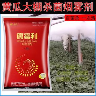 黄瓜温室大棚烟雾剂烟熏剂药腐霉利灰霉霜霉白粉病农药杀菌剂农用