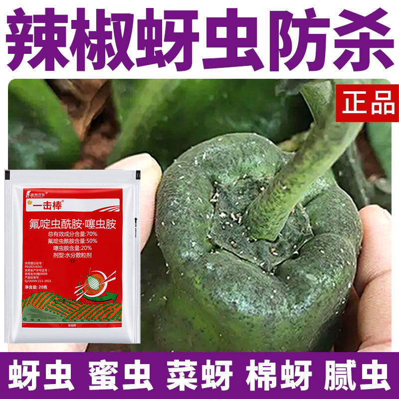 辣椒蚜虫专治专用药克星氟啶虫酰胺噻虫胺黄蚜虫棉蚜虫杀虫剂