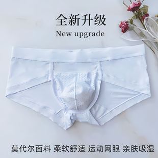 夏季 透气网孔运动舒适柔软百搭短裤 新款 莫代尔薄款 男士 2024