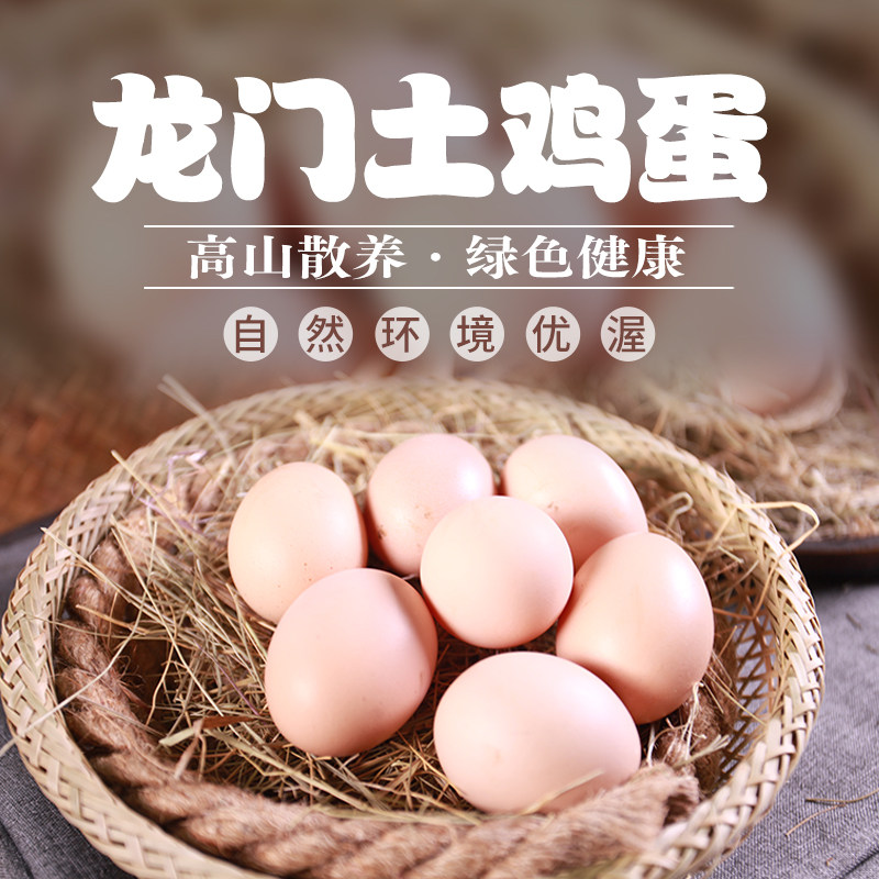 高山散养绿色健康蛋香浓郁新鲜活