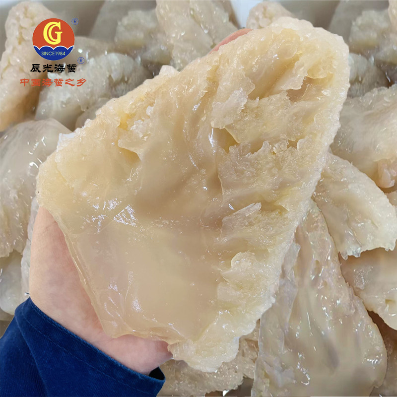 辰光白海蜇头 海蜇角 净重4斤/桶 营口特产