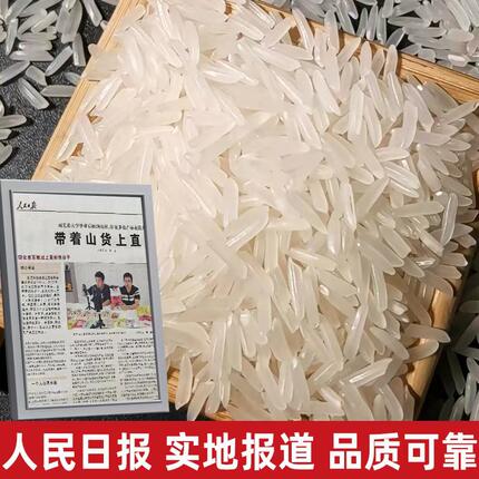 大米新鲜长粒丝苗猫牙大米不抛光农家高山绿色种植5kg谷岗功到
