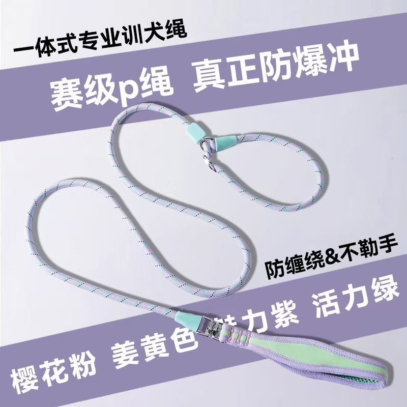 新款便携狗狗p绳p链狗牵