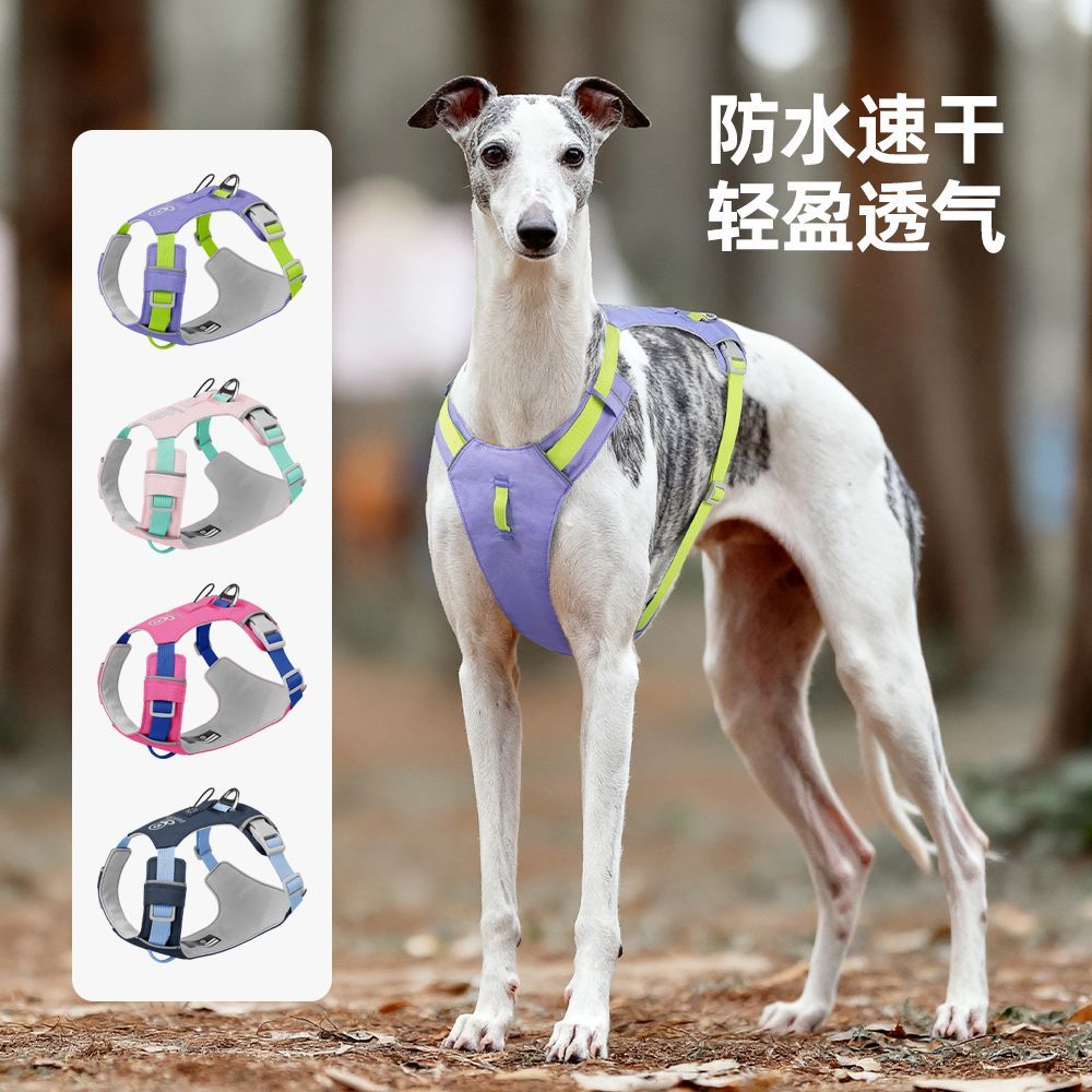 狗狗牵引绳轻量背带胸背
