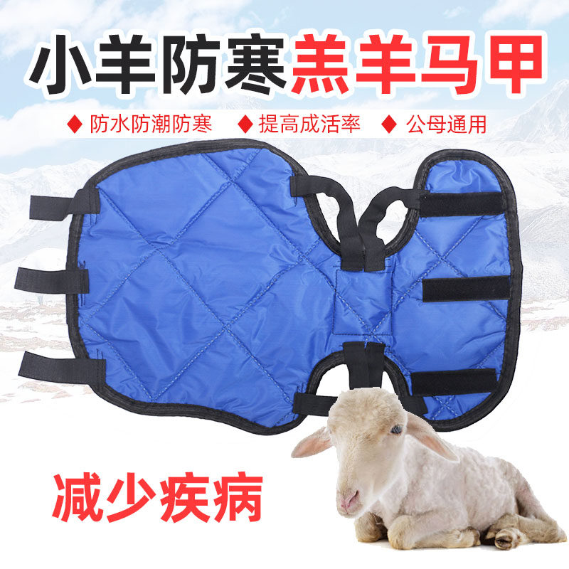 畜牧兽用新生羊羔保暖马甲 小羊防寒马甲 小羊衣服马甲保温服外套