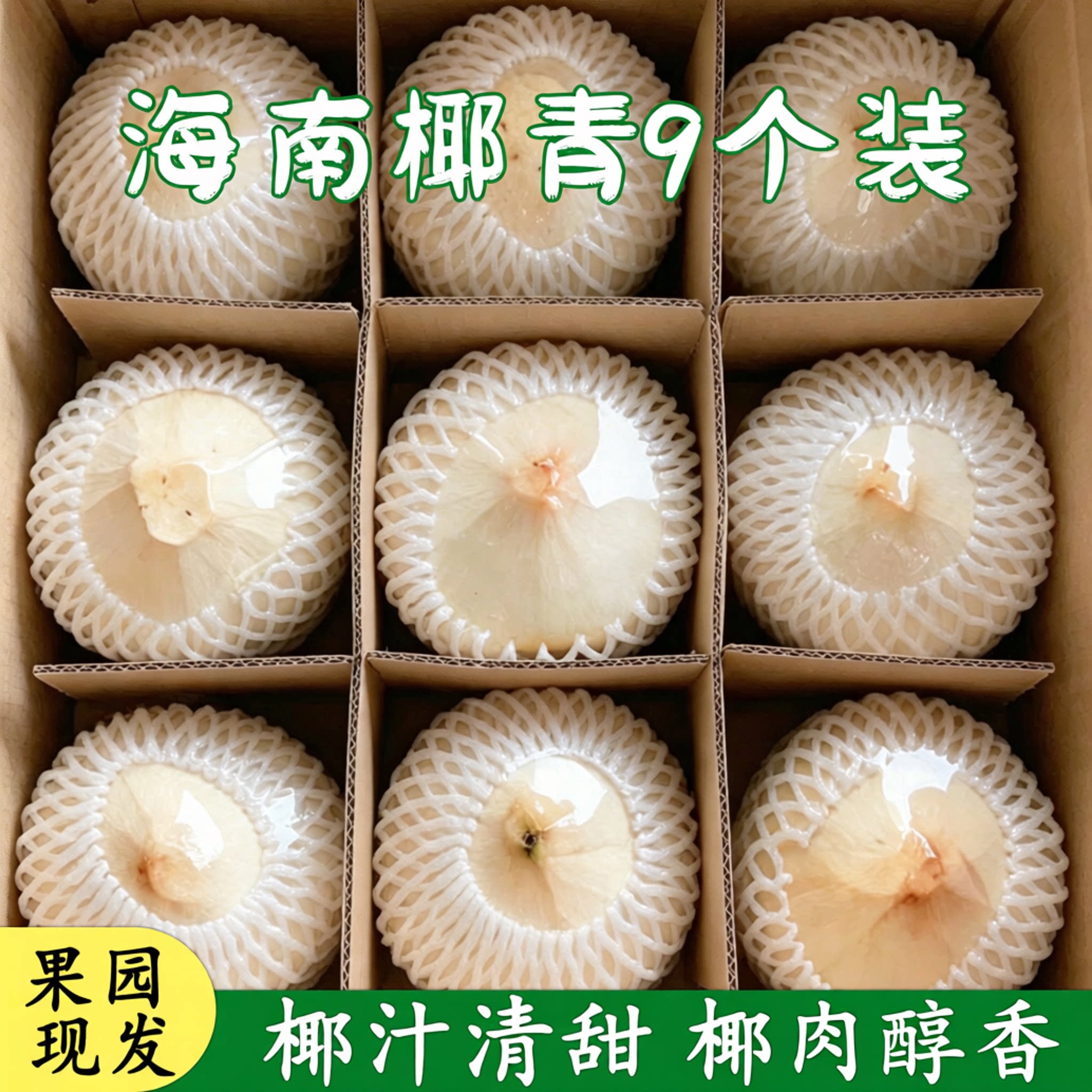 海南正宗去皮椰青牛奶椰香特选新鲜嫩椰子孕妈补水开盖即饮大果