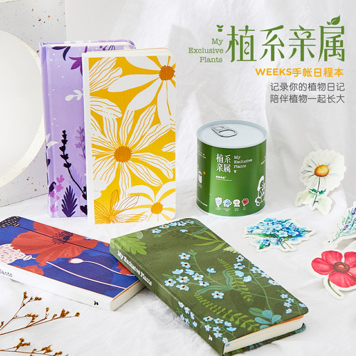 植物记录本伞纸莱恩纸品