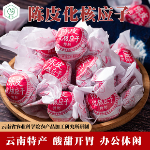 无核梅肉酸甜怀旧蜜饯零食 云南特产特制陈皮化核应子250克散装