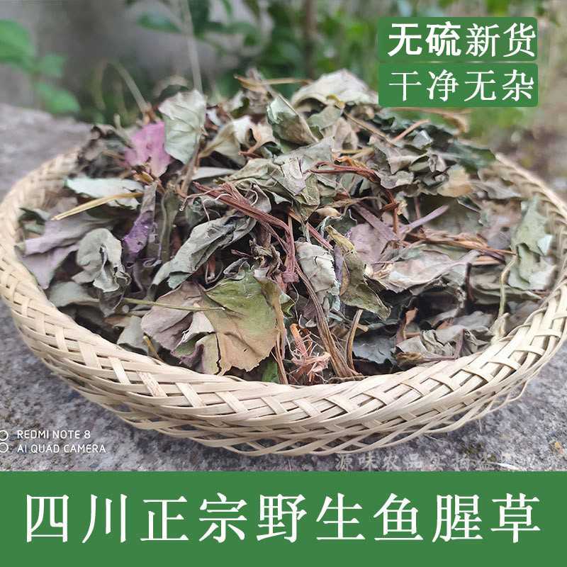 鱼腥草茶干货2025新晒野生鱼星草泡水四川折耳根无硫一斤包邮