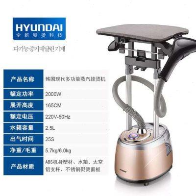 韩国现代挂烫机家用立式双杆挂烫机便携式手持蒸汽挂烫机迷你烫斗
