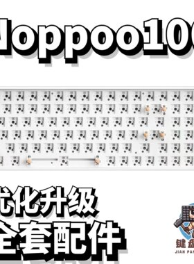 noppoo100声音包diy全套配件