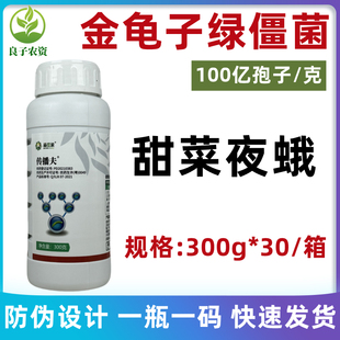 100亿孢子/克金龟子绿僵菌大白菜蔬菜甜菜夜蛾生物农药杀虫农用药