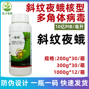一指剑斜纹夜蛾核型多角体病毒甘蓝斜纹夜蛾蔬菜玉米杀虫专用农药