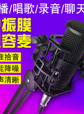 帝华电容麦克风5v智能AI降噪录音专用设备直播声卡话筒48伏卡农