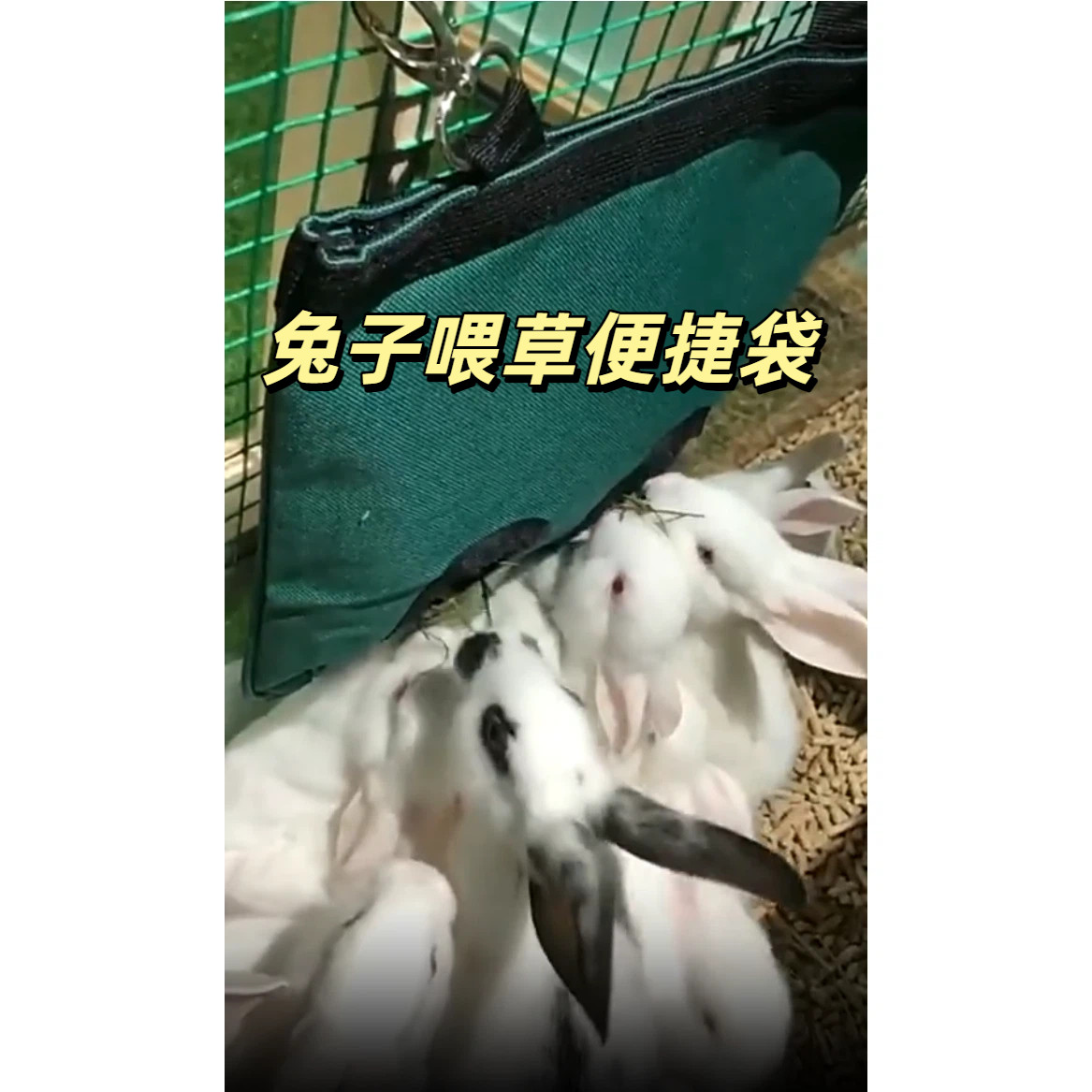 兔子干草袋悬挂喂食物袋宠物喂食包喂食豚鼠小动物食物储存袋仓鼠