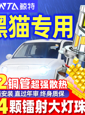 适用18-22款长城欧拉黑猫R1改装led大灯泡远光近光一体白猫前车灯