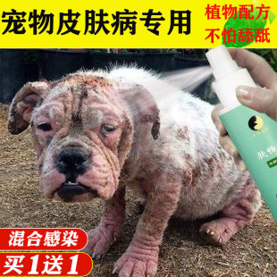 猫咪狗皮肤病喷剂宠物犬兔子专用药狗藓外用猫藓真菌抗菌痒炎消毒