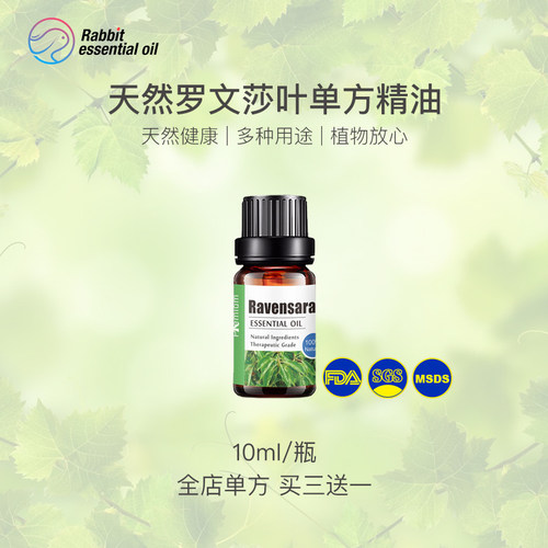 罗文莎叶单方精油 保卫呼吸 提升抵御力 儿童老人 扩香香薰美容 - 封面