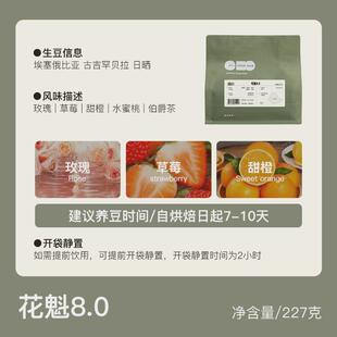 新货ColinPlus-24年花魁8.0埃塞俄比亚古吉罕贝拉日晒精品手冲咖