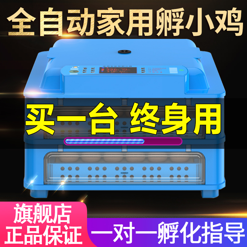 孵化蛋机器 价格 怎么样 图片 孵化蛋机器 价格 怎么样 图片