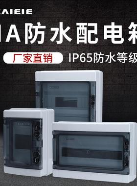 HA配电箱 户内外塑料防水照明回路箱 明装侧开门式C45空开盒 IP65
