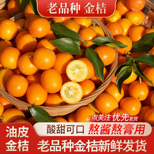 柳州油皮金桔鲜果广西老树金橘新鲜麻皮有籽熬膏专用老品种现摘