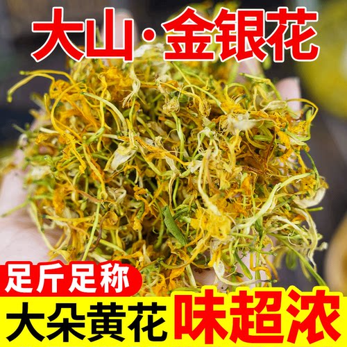 广西大山野生金银花新货泡水