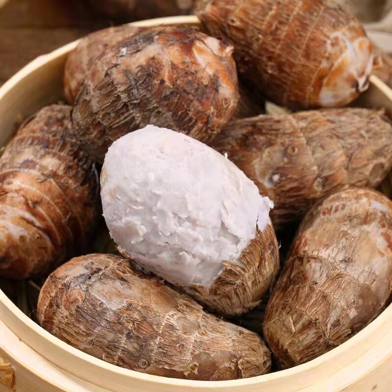 广西红芽芋头现挖现发