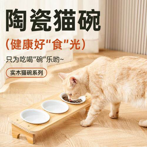 实木猫碗保护颈椎猫饭碗斜口猫粮盆防打翻猫水碗陶瓷猫食盆猫咪碗