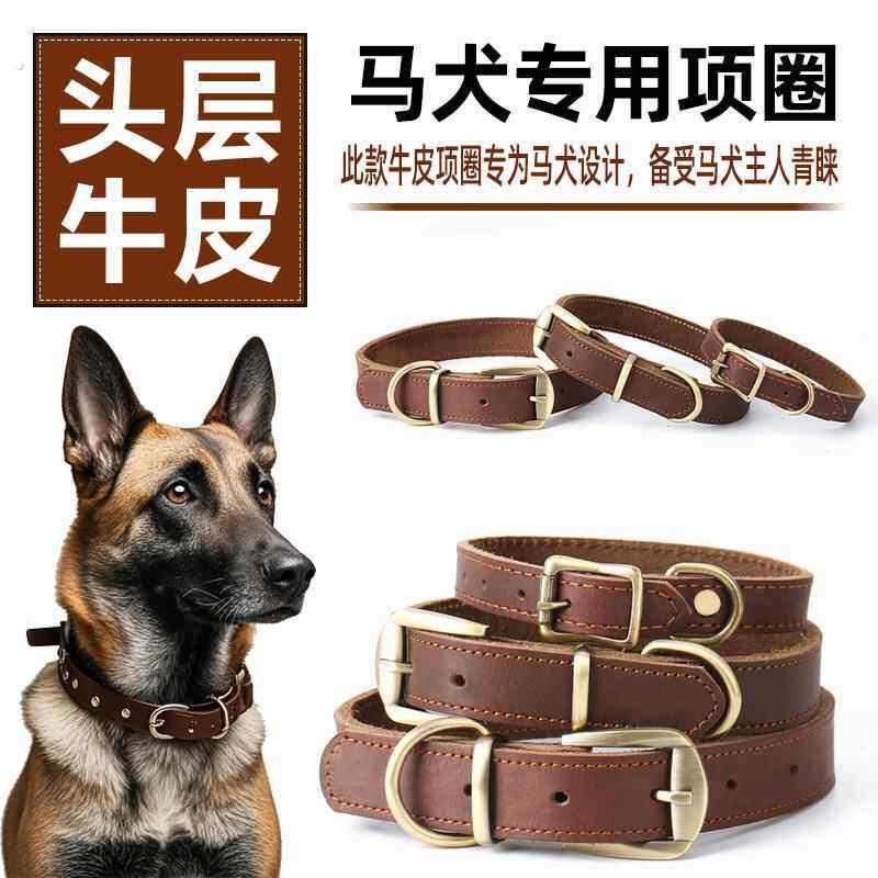 马犬专用真皮狗项圈脖圈脖套颈圈牵引绳牛皮定制刻字狗牌中大型犬
