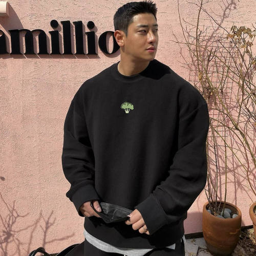 秋冬西蓝花卫衣男宽松大码健身休闲棉圆领长袖训练上衣