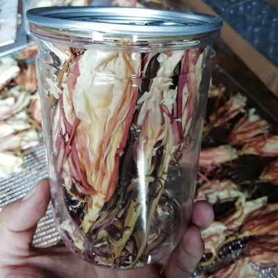 2025年新鲜昙花干煲汤料 昙花干货可泡茶可食用昙花干1罐10朵装