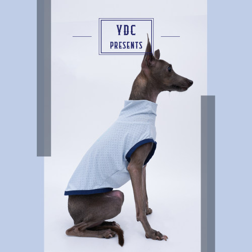 ydcstore夏季狗狗凉爽网眼布背心