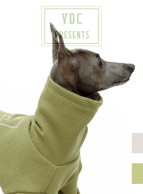 YDCStore升级版高档华夫格意大利小灵缇惠比特贝灵顿打底四脚衣