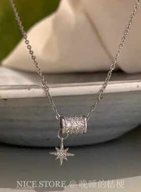 晚睡的桔梗I星星幸运转筒项链