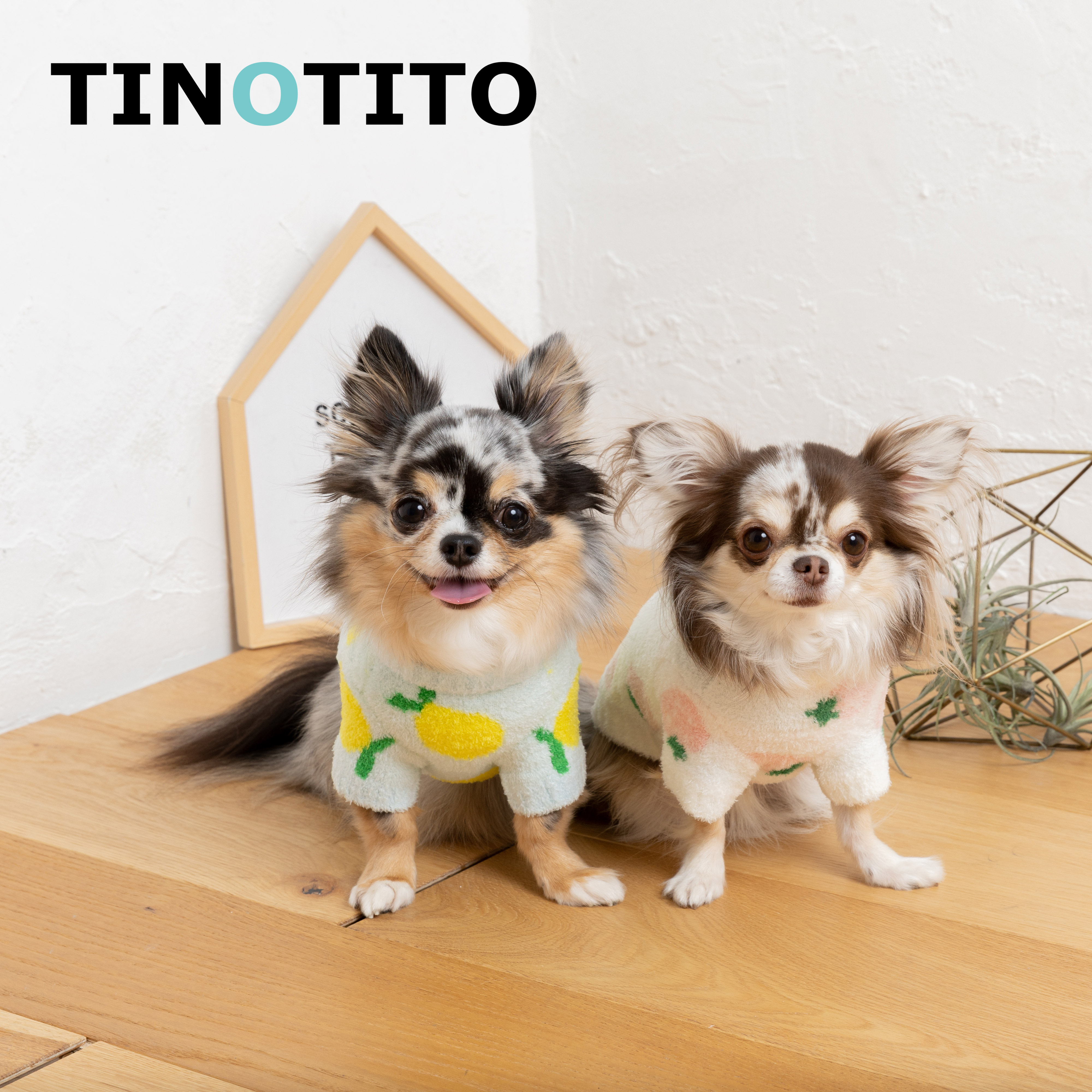 提诺Tinotito日本品牌宠物服装秋冬 水果绵柔针织衫 保暖柔软毛衣