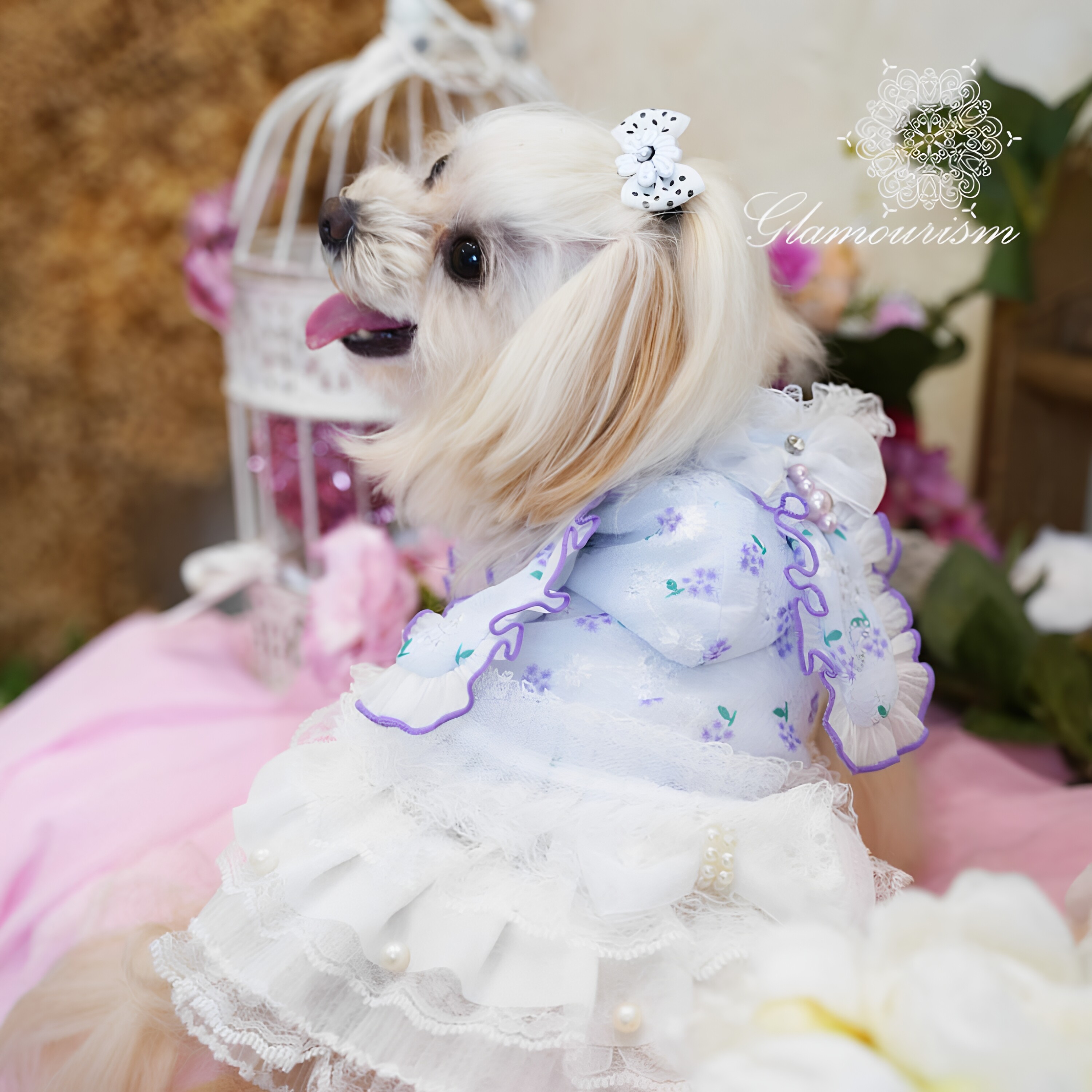 魅意Glamourism 日本品牌宠物服装 露米兔兔上衣俏皮甜美可爱优雅